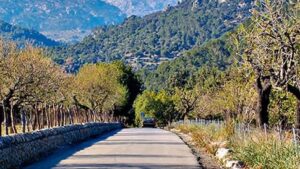 Carretera de entrada a Lloseta