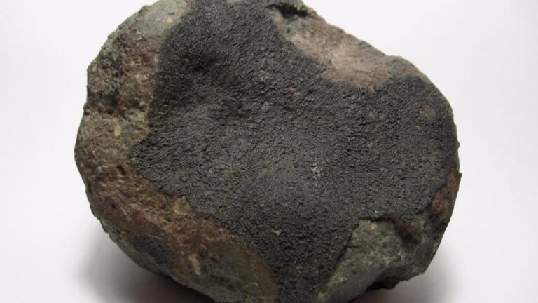 Meteorito Allende