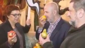 El Consell ha grabado un 'mannequin challenge'