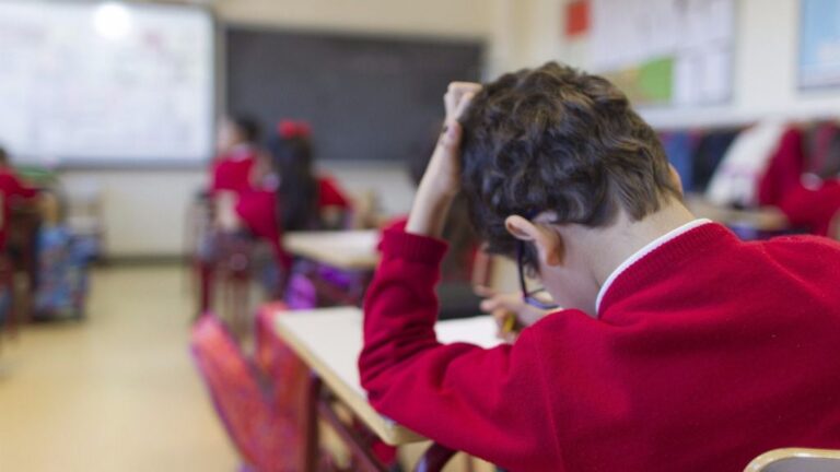 colegio niño estudiante clase
