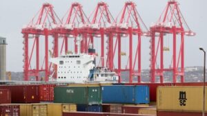 Estibadores Puerto Gr&uacute;a Contenedor