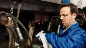 Backstage trabajo temporal