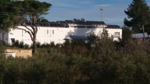 Paneles fotovoltaicos