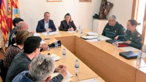 junta local seguridad formentera