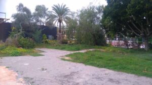 zona verde abandonada paseo juan carlos I