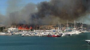 incendio forestal ses feixes