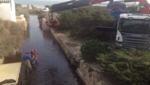 retirada posidonia estany pudent