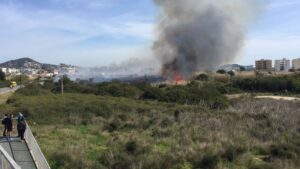 incendio forestal prat de ses feixes