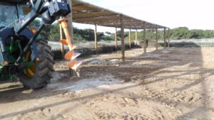 sombrajos ses illetes formentera