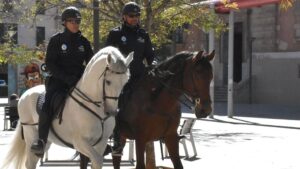 policia local a caballo
