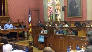 pleno consell