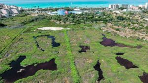 Imagen a&eacute;rea de la zona