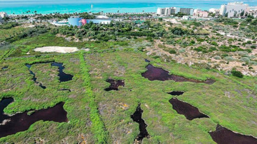 Govern, éEcologistas y pequeño comercio se oponen al proyecto