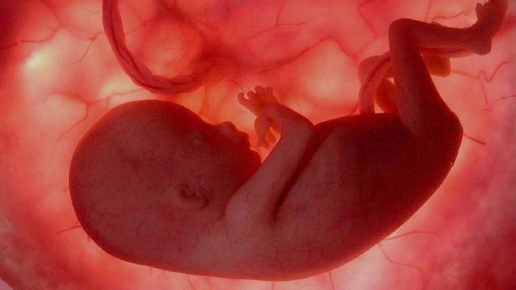 bebe intrauterino