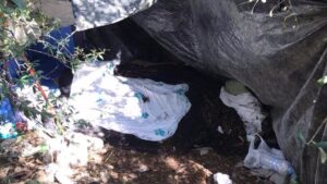 asentamiento es soto