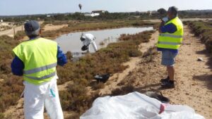 equipo limpieza vertido formentera