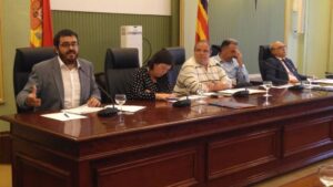 vicen&ccedil; vidal comisi&oacute;n parlamento