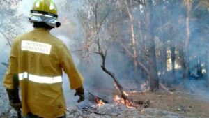 Foto de archivo de un operario del IBANAT en un incendio forestal