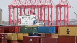 Estibadores Puerto Gr&uacute;a Contenedor