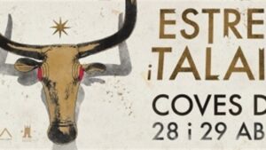 cultura talay&oacute;tica