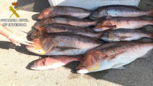 Supuestamente iba a ser destinado a la venta fraudulenta a restaurantes