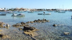 Se investiga el origen del vertido