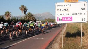 mallorca 312