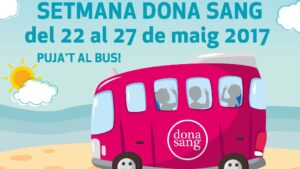 cartell semana ibiza bus