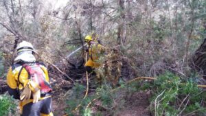 Efectivos del Ibanat apoyados por un helic&oacute;ptero, contin&uacute;an trabajando