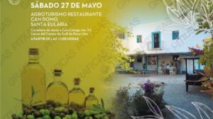 cartel cata aceite oliva