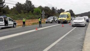 atropello vi&ntilde;als