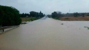 Numerosas explotaciones sufrieron da&ntilde;os por el temporal