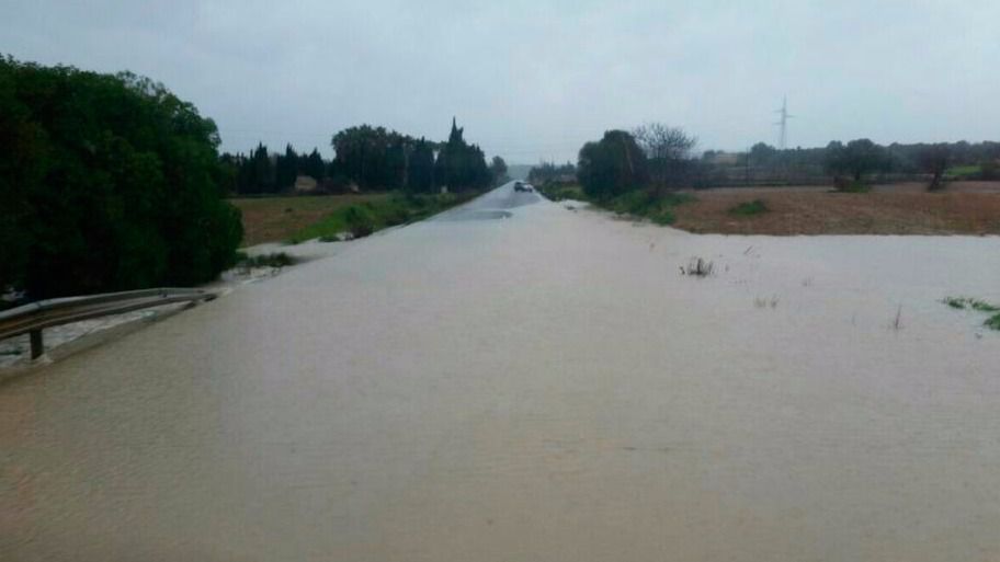 Numerosas explotaciones sufrieron daños por el temporal