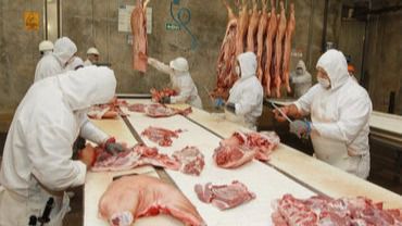 fraude alimentario carne