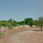 Entrada de la finca donde se ha hallado el cuerpo