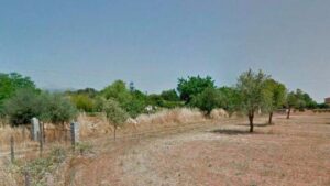 Entrada de la finca en la que se produjo el asesinatio