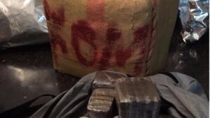 Imagen del alijo intervenido