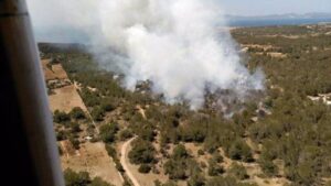 Incendio en Cala Saona