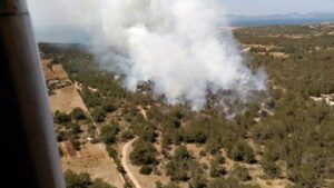Incendio en Cala Saona