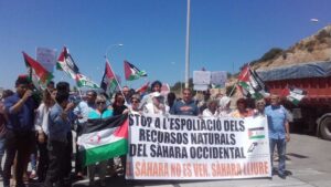 Activistas prosaharauis se han concentrado esta ma&ntilde;ana en el Port de Palma