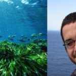 El conseller Vicenç Vidal