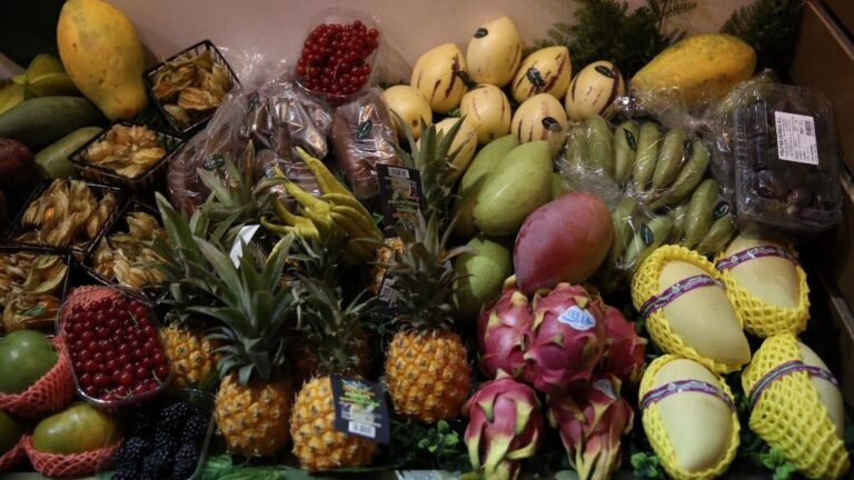 Día Mundial Nutrición