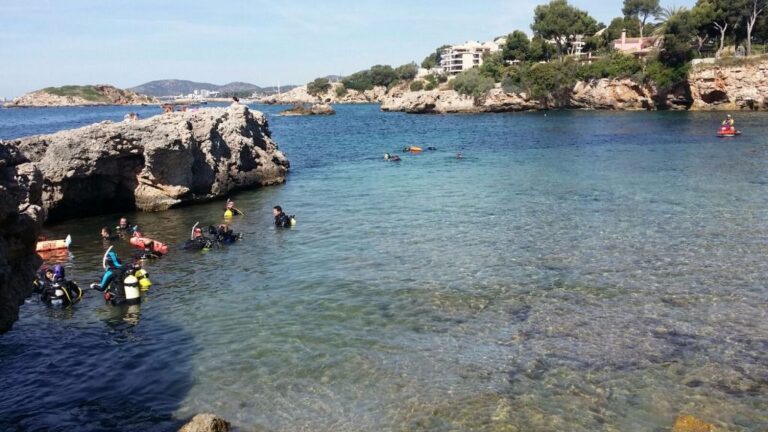 Cala Bendinat