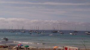 fondeos sobre posidonia parque natural ses salines