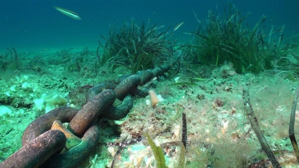 fondeo sobre posidonia