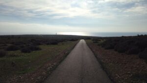 faro barbaria formentera
