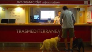 trasmediterranea mascotas