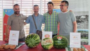 patata roja y sandia ibicenca