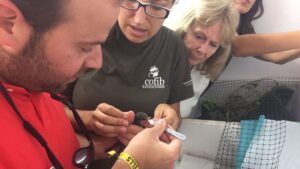 La investigaci&oacute;n es imprescindible para la conservaci&oacute;n de la fauna