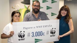 donaci&oacute;n corte ingles